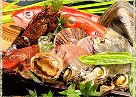 魚たち